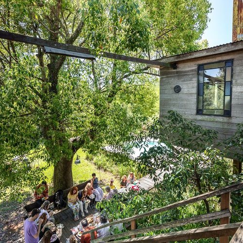 El almuerzo en el deck, bajo los árboles